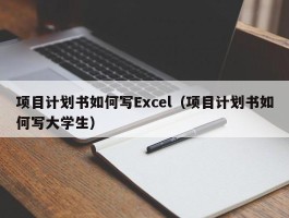 项目计划书如何写Excel（项目计划书如何写大学生）