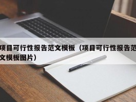 项目可行性报告范文模板（项目可行性报告范文模板图片）