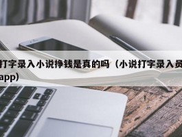 打字录入小说挣钱是真的吗（小说打字录入员app）