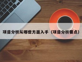 项目分析从哪些方面入手（项目分析要点）
