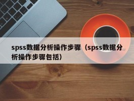spss数据分析操作步骤（spss数据分析操作步骤包括）