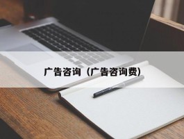 广告咨询（广告咨询费）