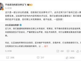 比亚迪李云飞回应黑公关：在诉黑号37个，观察126个