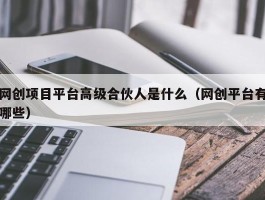 网创项目平台高级合伙人是什么（网创平台有哪些）