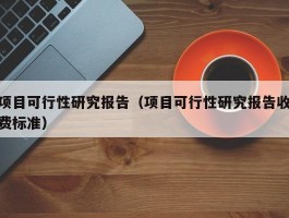 项目可行性研究报告（项目可行性研究报告收费标准）