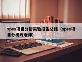 spss项目分析实验报告总结（spss项目分析陈老师）