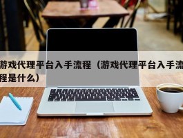 游戏代理平台入手流程（游戏代理平台入手流程是什么）