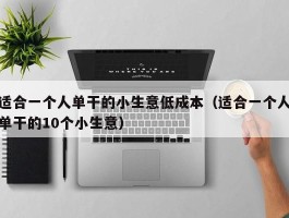 适合一个人单干的小生意低成本（适合一个人单干的10个小生意）
