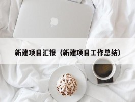 新建项目汇报（新建项目工作总结）