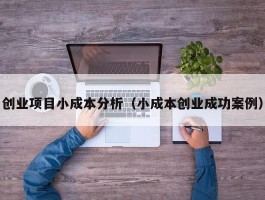 创业项目小成本分析（小成本创业成功案例）