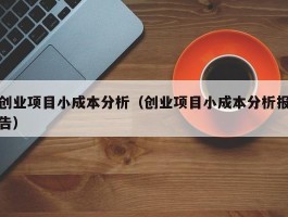 创业项目小成本分析（创业项目小成本分析报告）