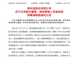 突发！ST锦港多名高管被采取刑事强制措施