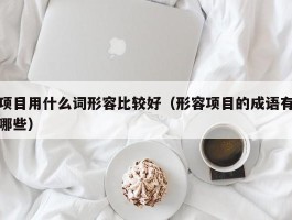 项目用什么词形容比较好（形容项目的成语有哪些）