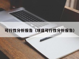 可行性分析报告（项目可行性分析报告）