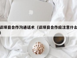 谈项目合作沟通话术（谈项目合作应注意什么）