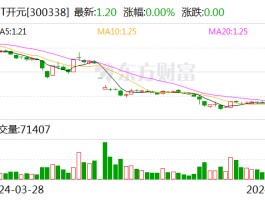*ST开元：公司被债权人申请重整及预重整