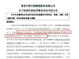 *ST中程连续6年财务造假，触及退市后仍被证监会严惩