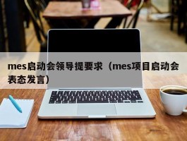 mes启动会领导提要求（mes项目启动会表态发言）
