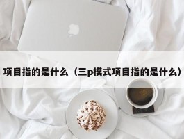 项目指的是什么（三p模式项目指的是什么）