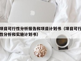 项目可行性分析报告和项目计划书（项目可行性分析和实施计划书）