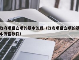 政府项目立项的基本流程（政府项目立项的基本流程软件）