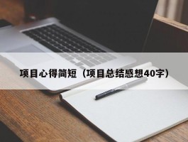 项目心得简短（项目总结感想40字）