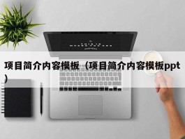 项目简介内容模板（项目简介内容模板ppt）