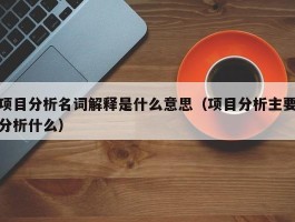 项目分析名词解释是什么意思（项目分析主要分析什么）
