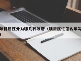 项目属性分为哪几种政府（项目属性怎么填写）