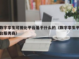 数字孪生可视化平台是干什么的（数字孪生平台服务商）
